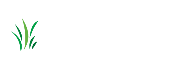 Drury Lawn Seeding logo with grass design.