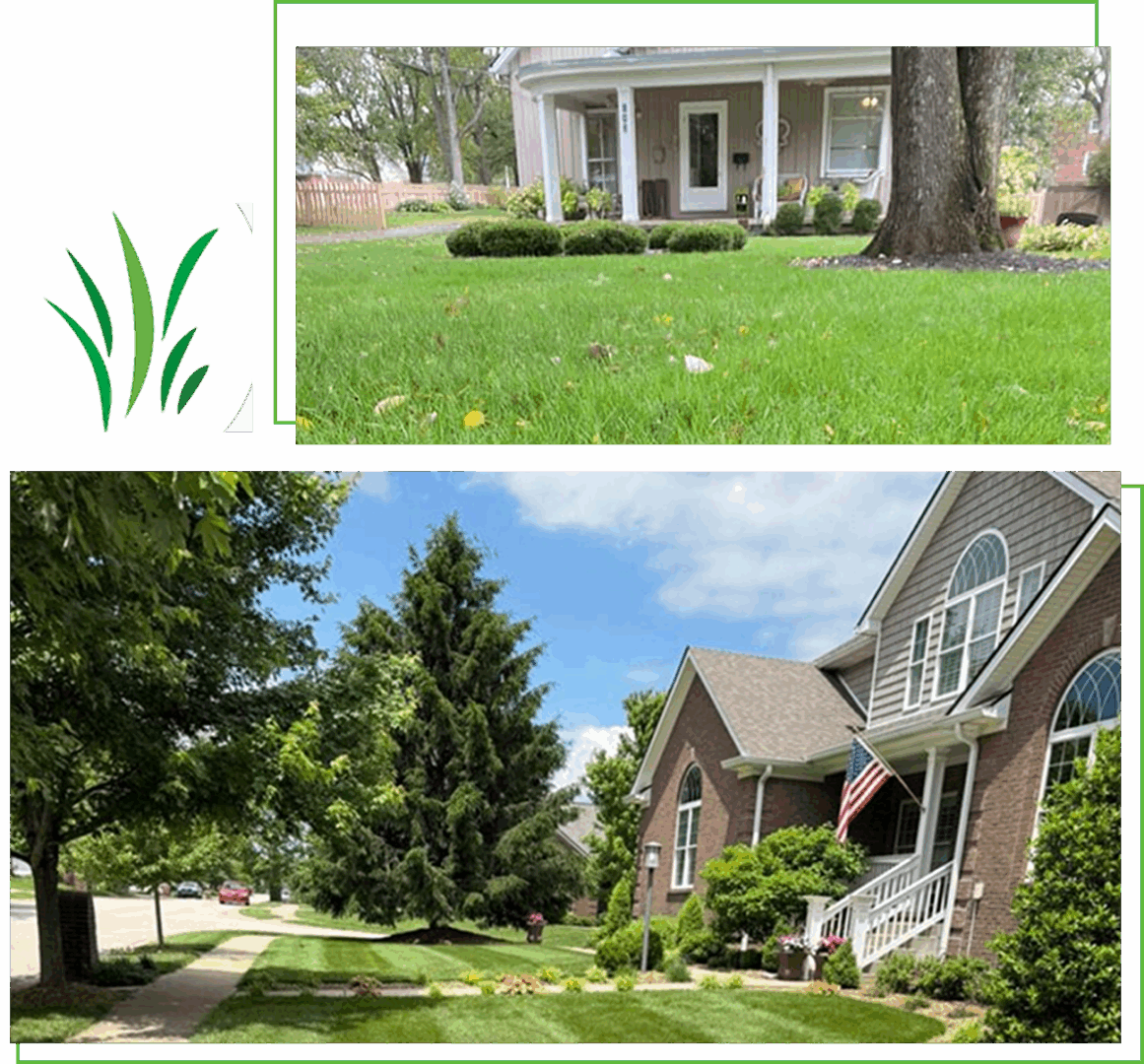 Two images showing suburban houses with green lawns and trees.