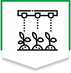 Sprouts under irrigation system illustration.