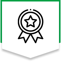 Award medal with star and ribbons icon.