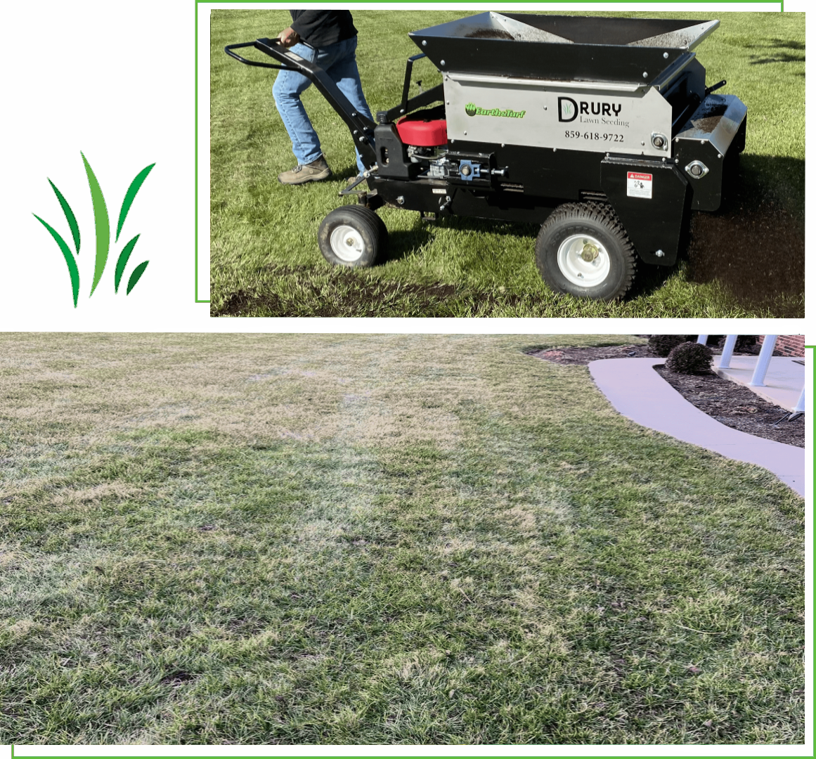 A lawn spreader distributing grass seed on a lawn.